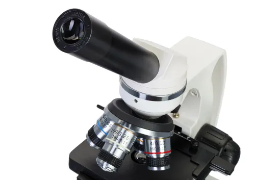 Микроскоп Levenhuk Discovery Atto Polar с книгой,  2