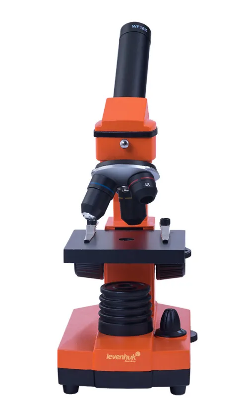 Микроскоп Levenhuk Rainbow 2L NG Rose\Роза,  6